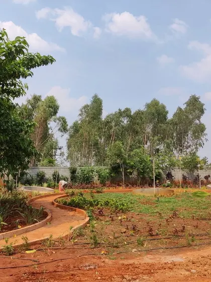 A work-in-progress shot of 'The Sanctuary', showing the early stages of planting and path-laying, with the green landscape beginning to take shape.
