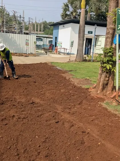 A worker prepares the ground for a new lawn patch, clearing and leveling the red soil.