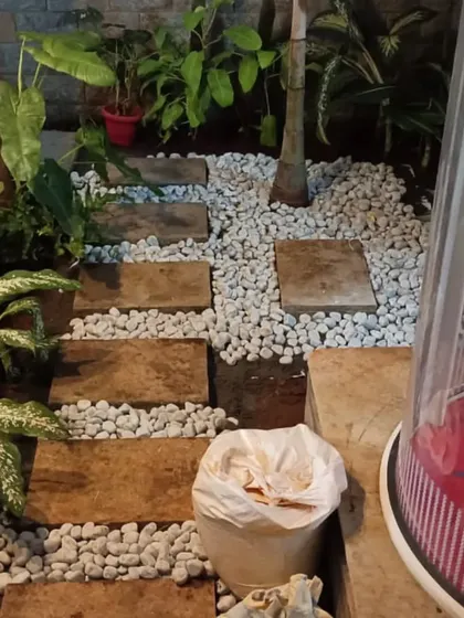 A work-in-progress shot of a pebble garden. The white pebbles are poured around the stepping stones and plants to complete the look.