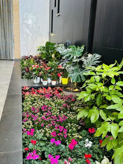 A close-up view of the indoor garden bed. You can see the different layers of planting, with taller foliage plants at the back and a carpet of colorful flowers in the front.