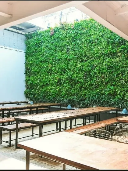At 1131 Bar and Kitchen, we installed this flagship coir green wall in their open-air courtyard. Housing over 7,300 plants, this massive living installation is a central feature of the restaurant's design and significantly improves the air quality for a healthier environment.