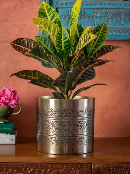The Nikhat planter is a perfect example of how a simple shape can be elevated with beautiful, handcrafted details, adding a touch of elegance to your tabletop.