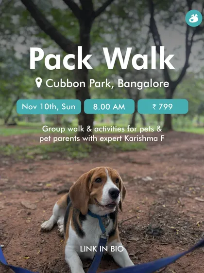 Another Pack Walk event at Cubbon Park, led by expert Karishma F. A great way to socialize your dog in a controlled, positive environment.