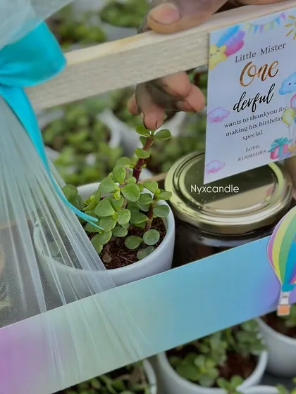A detailed shot of our pastel rainbow-themed hamper, showing the fresh succulent plant and custom-labeled jar of treats. We focus on quality items that guests will appreciate.