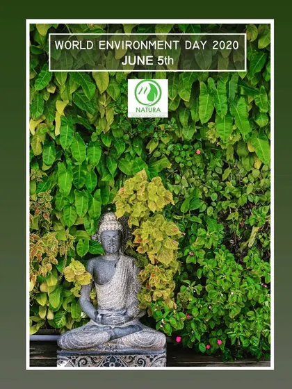 In honor of World Environment Day, we celebrate the essential role of nature in supporting life and human development. This image, featuring a serene Buddha statue against a living wall, reflects our belief in creating spaces that foster a connection to the natural world.