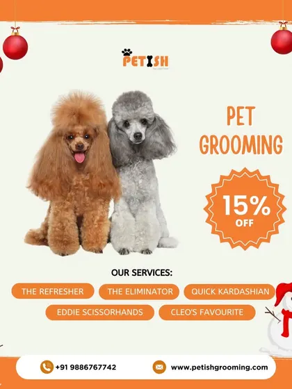 My Christmas offer includes 15% off all services, from "The Refresher" bath to a full "Cleo's Favourite" spa day for these festive poodles.