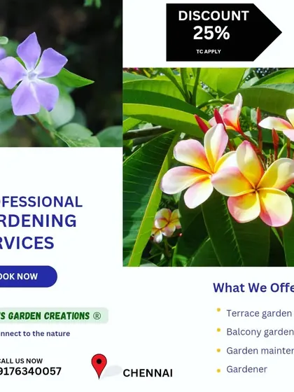 We offer professional gardening services with a special discount for new projects. Whether you need a terrace garden, balcony setup, or general maintenance, book now to connect with nature.