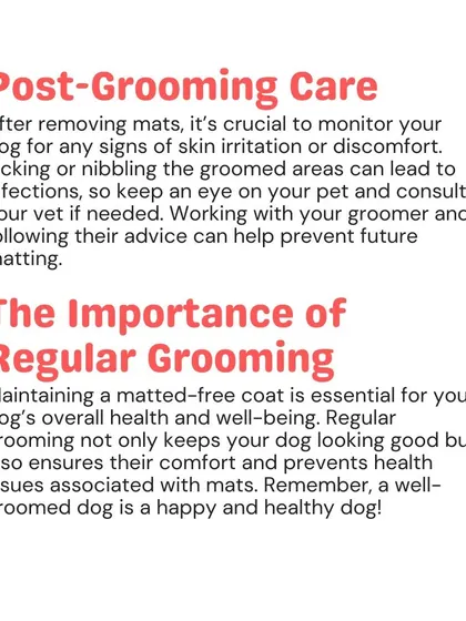 After removing mats, it's important to monitor the skin for any irritation. Regular grooming is the key to preventing mats from forming again and is essential for your dog's overall well-being.