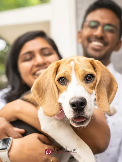 A close-up on Thunder's adorable face, with his smiling family blurred in the background. He is clearly the star of the show.