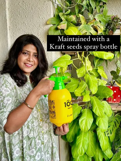 Keeping my plants happy and pest-free is easy with a good spray bottle. I use it for misting and applying my go-to neem oil solution.