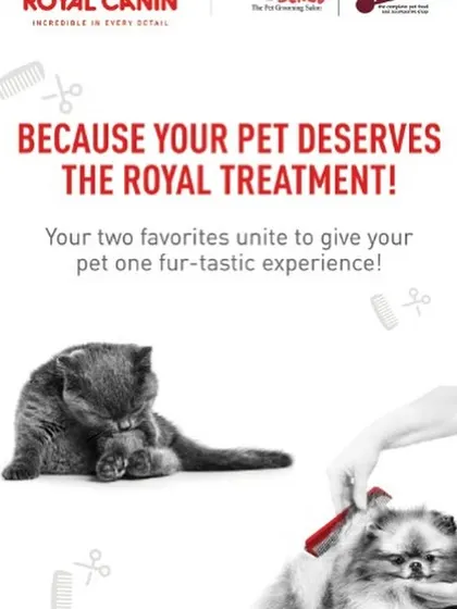 We are proud to partner with Royal Canin, a world leader in pet nutrition. This collaboration unites our grooming expertise with their food science to provide a complete wellness experience for your pet.