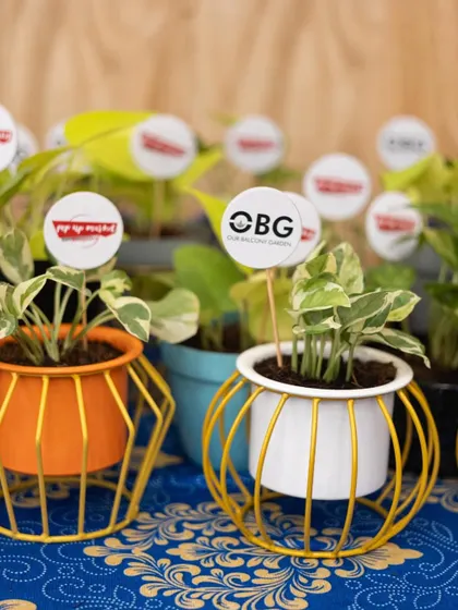 A closer look at our branded plant gifts. This shows a Money Plant in a bright orange metal planter with custom tags for both our brand and the "Pop Up Market" event.