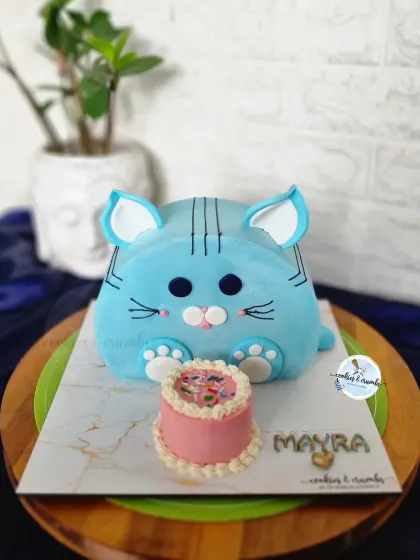 This cute top-forward cat cake was for a baby's welcome party. It's a fun, modern design that brings a playful touch to the celebration.