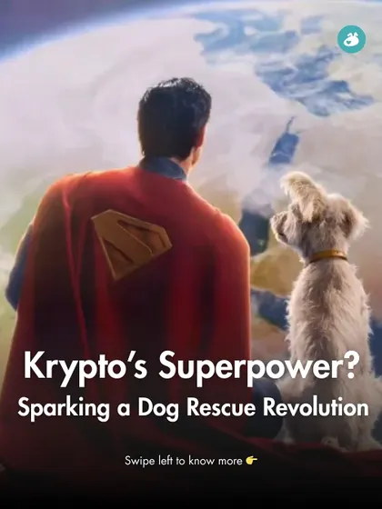 Krypto the Superdog sparked a dog rescue revolution. This post introduces our series on how pop culture influences dog adoption, for better or worse.