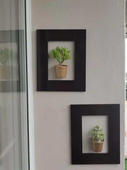 The frames holding these succulents were made from the closet's old shutters. Six years later, the paint has faded a bit, but the plants are still thriving, which is a win in my book.