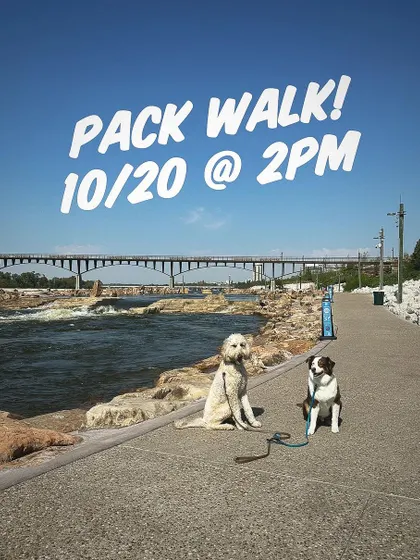 Two of our pack members practicing their 'sit' and 'stay' with the beautiful backdrop of the Arkansas River. We always take moments during our walks to reinforce obedience skills.