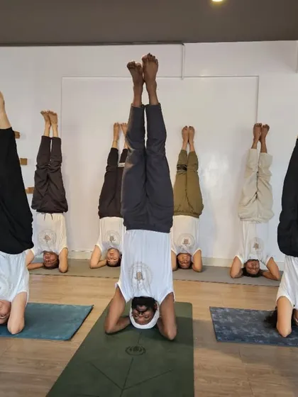 A group of students holds Sirsasana (Headstand) together, a powerful display of collective strength, balance, and trust in the practice and each other.