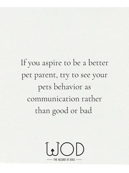 If you want to be a better pet parent, try seeing your dog's behavior as communication rather than simply "good" or "bad." Every action serves a purpose. My job is to help you figure out the 'why' behind the behavior so we can address the underlying need.
