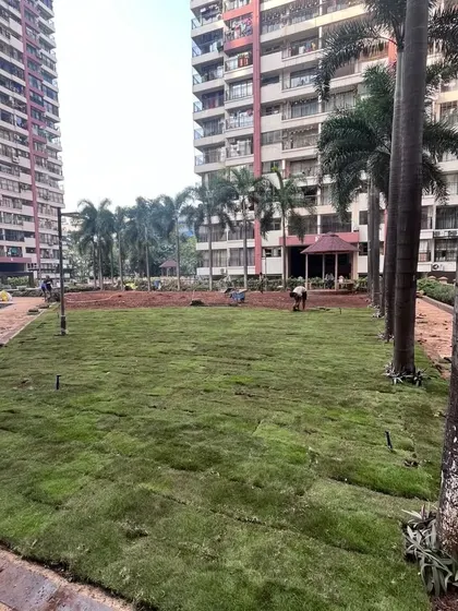 The finished 6,500 sq. ft. lawn at Maple Leaf in Powai. It's always satisfying to see a vast area turn into a lush green carpet.