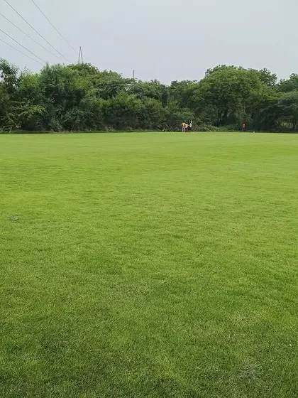 A wide view of another large lawn project. My grass is grown to be durable and withstand regular use, making it great for public areas.
