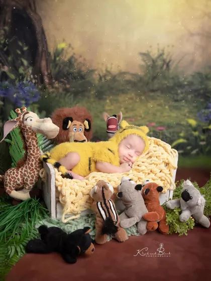 The cutest little tiger cub in the jungle. This wildlife theme was a special request from the parents, and I loved bringing the world of Madagascar to the studio.