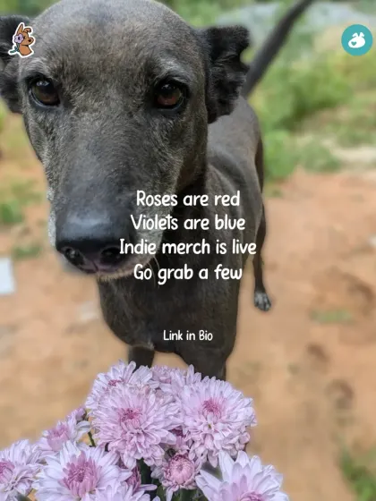 A heartfelt call to action featuring one of our beloved community dogs. When you buy our Indie merch, you are directly contributing to their welfare and helping us spread the message of kindness.