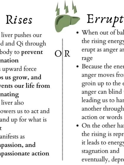Exploring the energy of the liver in Chinese medicine. When in balance, it empowers compassionate action, but when out of balance, its rising energy can erupt as anger or lead to stagnation.
