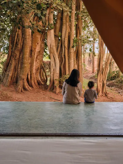 A quiet moment of connection with nature, viewed from the deck of a tent at Fireflies Resort. Our design philosophy is centered on creating these opportunities for peace and reflection.