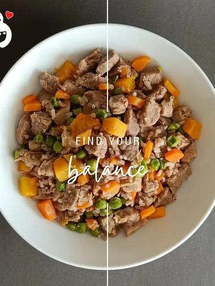 A balanced bowl of our beef meal, showing the perfect ratio of meat, veggies, and carbs. This is what real, fresh dog food looks like.