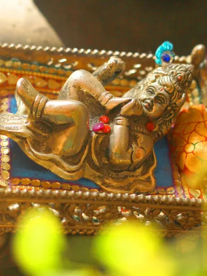 A beautifully lit shot of a Bal Krishna idol, capturing a moment of devotion. The soft focus on the foreground leaves creates an artistic and serene feel.
