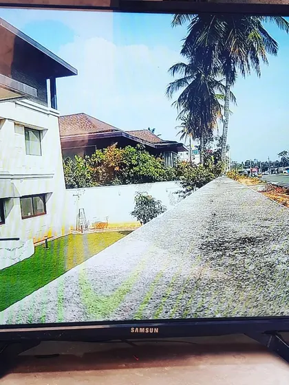 A view across the lawn towards the boundary wall of the property.