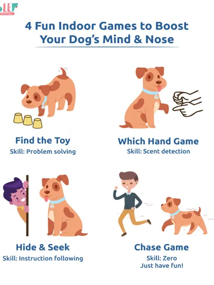 A rainy day doesn't have to be boring. This infographic shows four fun indoor games like "Find the Toy" and "Hide & Seek" to boost your dog's mind and nose, turning playtime into brain training.