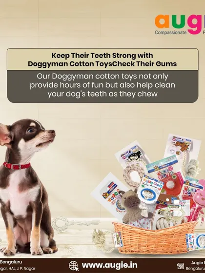 Keep their teeth strong with Doggyman Cotton Toys. These toys not only provide hours of fun but also help clean your dog's teeth as they chew, making dental care a playful activity.