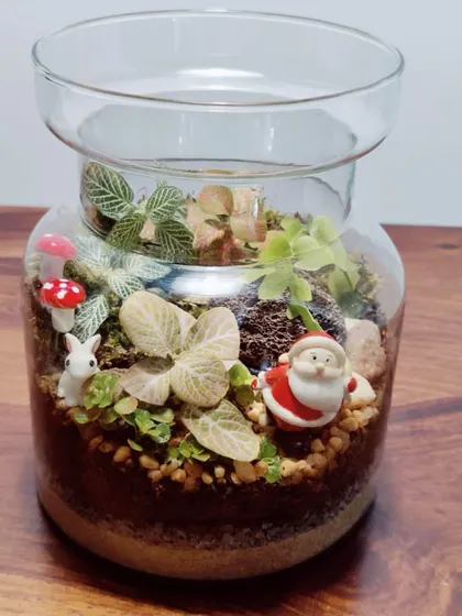 My Christmas special closed terrarium is a festive delight. With a tiny Santa and mushroom figurines nestled among the green plants, it’s a perfect piece of holiday decor or a unique gift for a loved one.