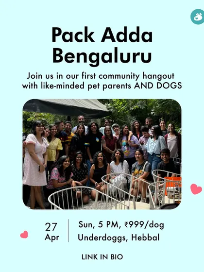 An invitation to our Pack Adda in Bengaluru. These community hangouts are for like-minded pet parents and their dogs to connect.