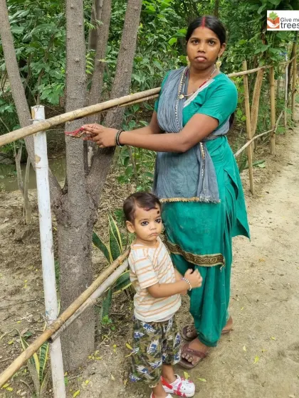 A mother and child tie a rakhi to a young tree. Our Vriksha Bandhan campaign encourages people to form a personal bond with the trees in their community, promising to protect them.