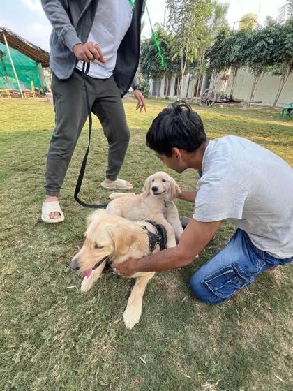 Cuteness overloaded. We facilitate safe and positive interactions between dogs of all ages to help them build appropriate social skills.