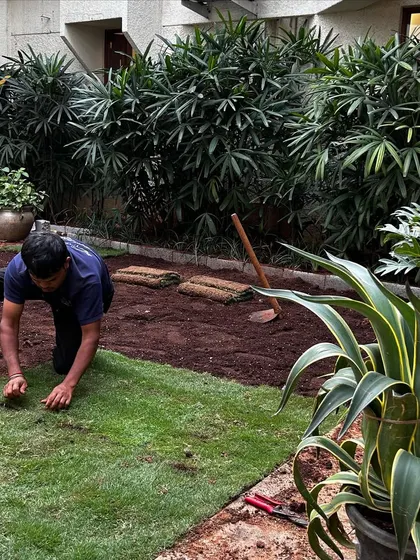 A team member meticulously laying down a piece of turf, ensuring a seamless and even lawn for the commercial landscape project.
