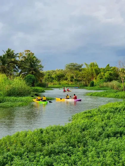 A wide shot of guests kayaking on the river, surrounded by lush green vegetation. It's a perfect picture of tranquility and gentle adventure.