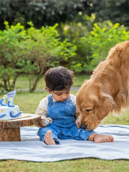 Best friends forever, right from the start. I've been lucky enough to photograph Ollie and Aariv's journey from maternity shoot to first birthday. This image from the cake smash shows the beautiful bond between a boy and his dog.