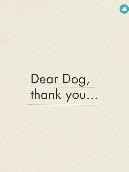 A thank you note to our dogs. "Dear Dog, thank you..." This series is a tribute to the simple, profound ways they make our lives better.