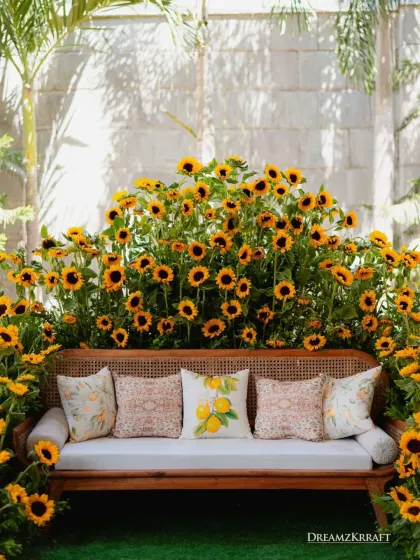 A charming seating nook for a Kalire ceremony, framed by an abundance of bright sunflowers. This simple yet beautiful setup created a perfect, sunny spot for this heartfelt tradition.
