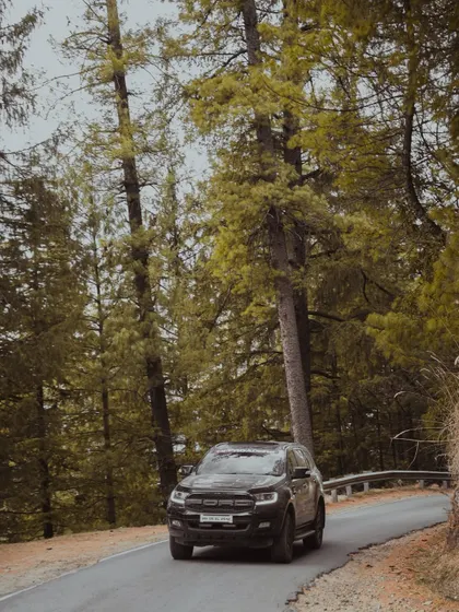 Photos of Suzuki Jimny and Ford Endeavour vehicles driving through dense pine forests and on open roads. These images showcase the capability of these vehicles in tough terrains.