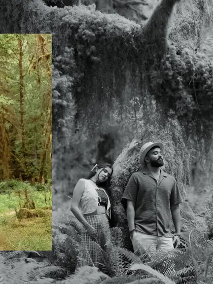 A creative collage contrasting the vibrant green of the forest with a timeless black and white portrait, showing our artistic approach to storytelling.