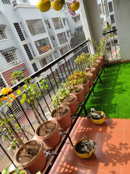 Making the most of a narrow balcony with tiered plant stands. This setup allows for a large number of plants without taking up valuable floor space.