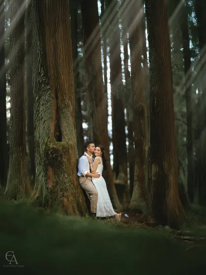Finding a quiet corner in the woods, with beautiful rays of light breaking through the canopy. This intimate portrait uses natural light to highlight their connection, creating a soft and magical feel.