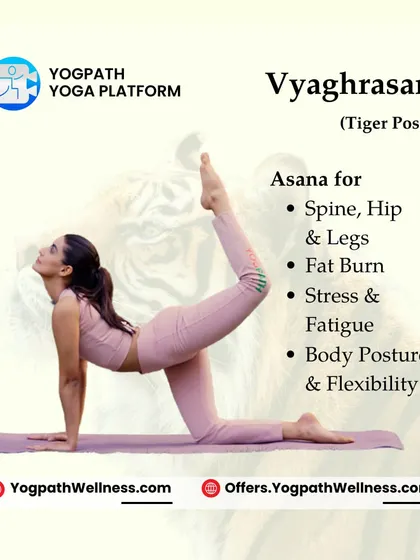 Vyaghrasan, or Tiger Pose, is a fantastic asana for toning the spine, hips, and legs while actively aiding in fat burn. It also improves body posture and helps relieve stress, making it a complete wellness pose.