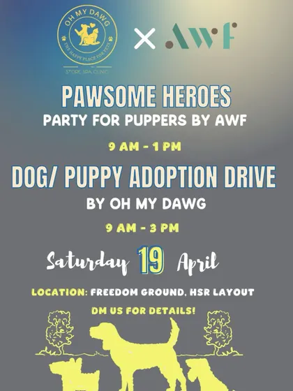 The official poster for our Pawsome Heroes dog and puppy adoption drive in HSR Layout. We collaborate with other welfare foundations to maximize our reach and find more homes for rescues.
