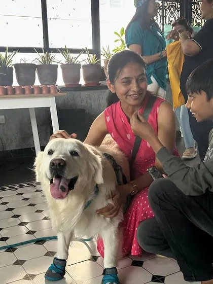 I was honored to speak at a Rotary Bangalore event about how dogs can be a part of therapy and mental health initiatives. My dog Coco was a perfect gentleman, charming the crowd and demonstrating the calm temperament of a great therapy dog.
