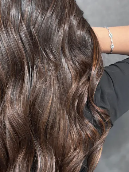 A close-up on the texture and shine of these face-framing highlights, showing how they blend seamlessly with the base color.